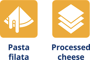Procesado de Queso Industrial natec