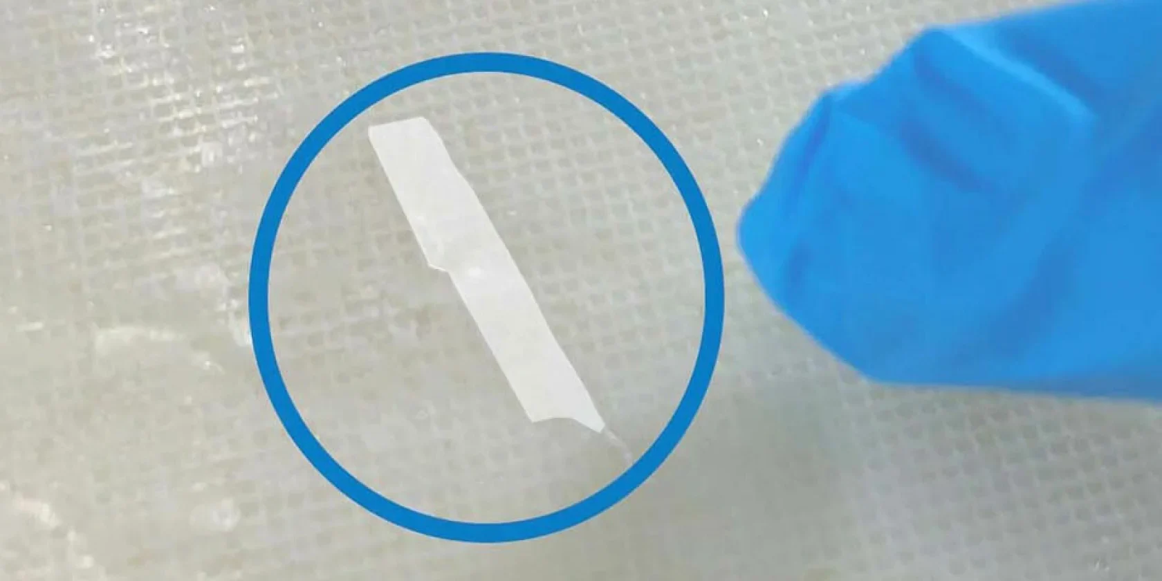 anzeige_eagle-eye-schnipsel