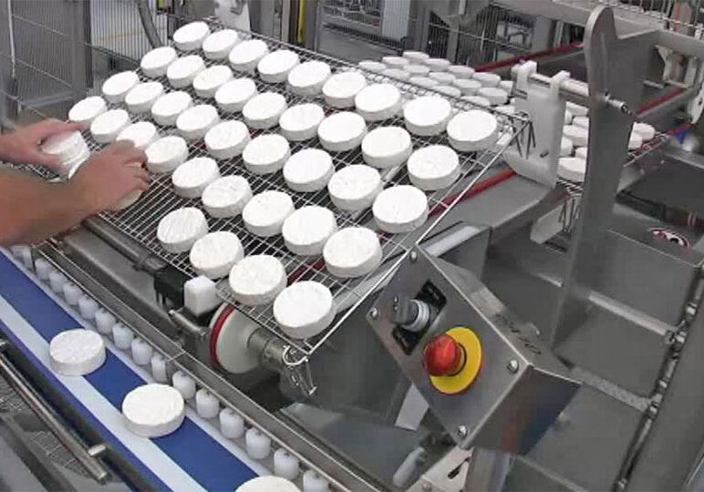 distribuidor alpma en mexico - tps tecnoproductos 4